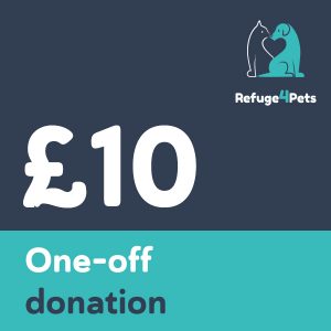 10-one-off-donation