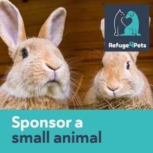 Sponsor a Small Animal
